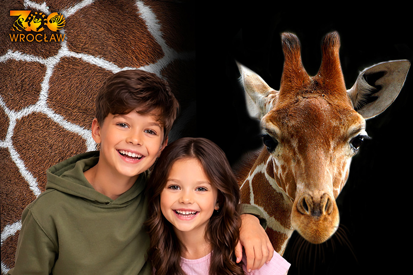 ZOO
